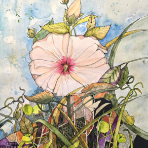 Swamp Mallow Memory watercolor by Connie Pickering Stover
