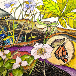 Walk in the Woods by Connie Pickering Stover