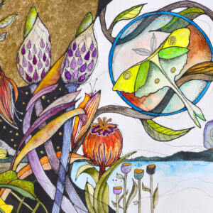 Fantastical Moths II by Connie Pickering Stover