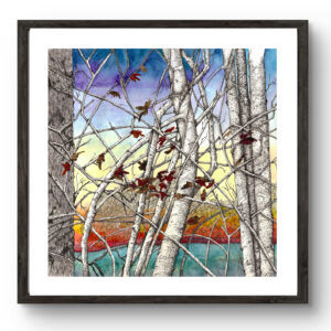 Autumn Birches print by Connie Pickering Stover