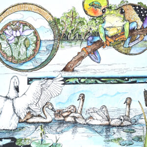 Watercolor by Connie Pickering Stover