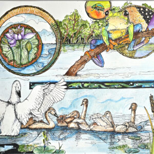 Swans watercolor by Connie Pickering Stover